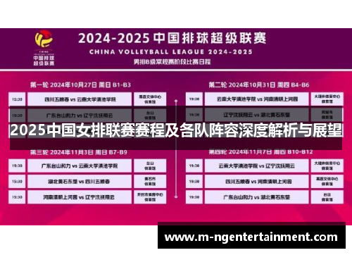 2025中国女排联赛赛程及各队阵容深度解析与展望