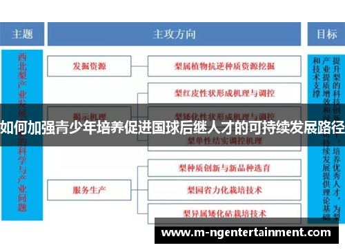 如何加强青少年培养促进国球后继人才的可持续发展路径