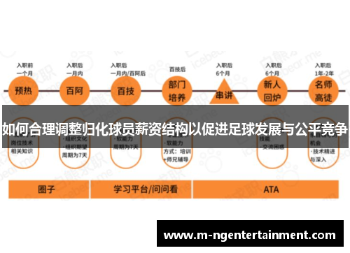 如何合理调整归化球员薪资结构以促进足球发展与公平竞争