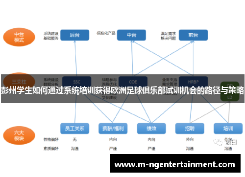彭州学生如何通过系统培训获得欧洲足球俱乐部试训机会的路径与策略