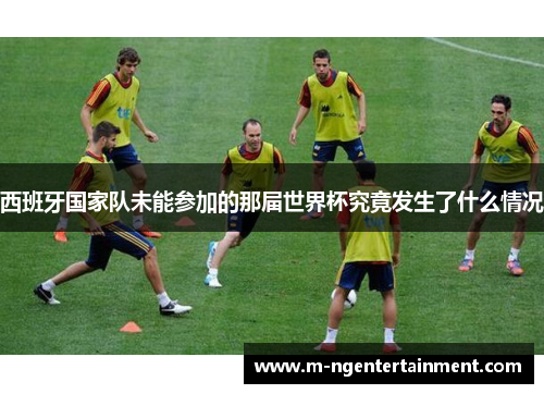 西班牙国家队未能参加的那届世界杯究竟发生了什么情况