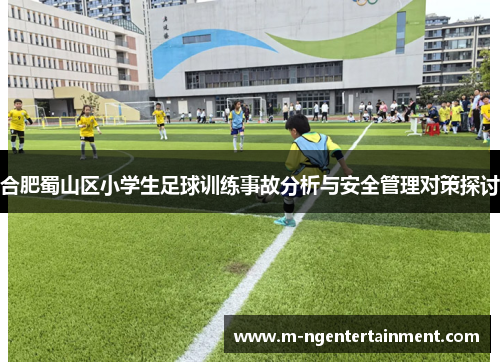 合肥蜀山区小学生足球训练事故分析与安全管理对策探讨