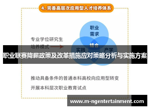 职业联赛降薪政策及改革措施应对策略分析与实施方案