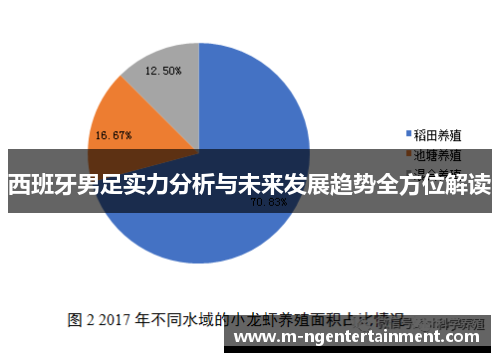 西班牙男足实力分析与未来发展趋势全方位解读